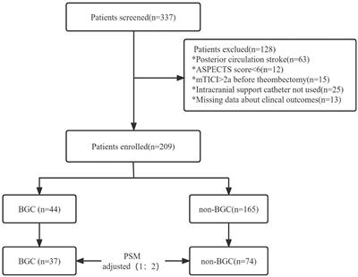 Comparing the Conventional and Balloon-Guided Catheter-Assisted SWIM Technology for the Treatment of Acute Ischemic Stroke